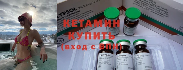 сатива Балахна