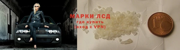 сатива Балахна