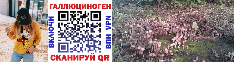 что такое наркотик  Закаменск  кракен сайт  Псилоцибиновые грибы Cubensis 