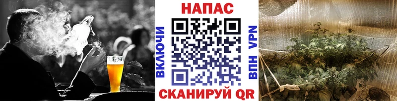Каннабис индика  наркота  Закаменск 
